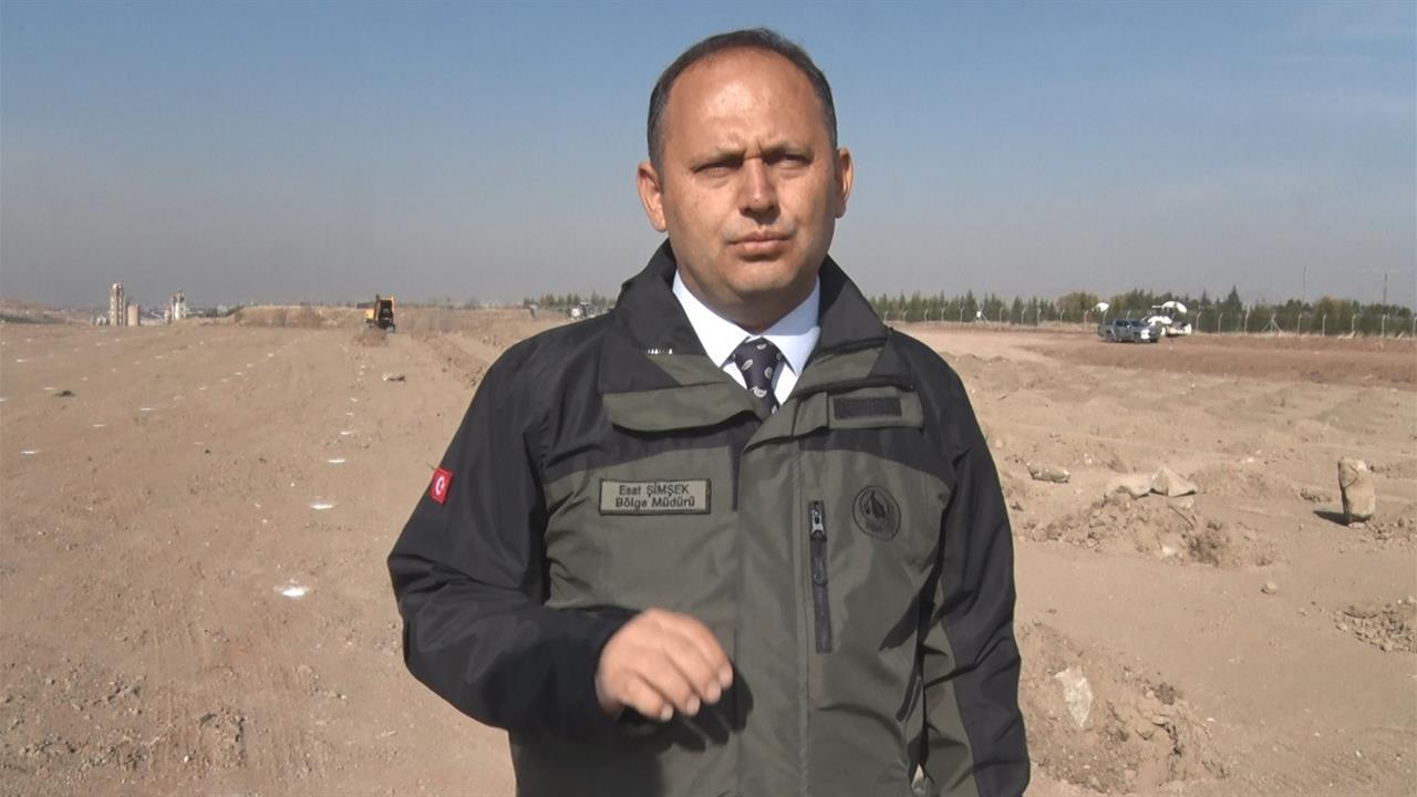 Ankara'da 11 Kasım Milli Ağaçlandırma Günü İçin 423 Bin Fidan Toprakla Buluşacak