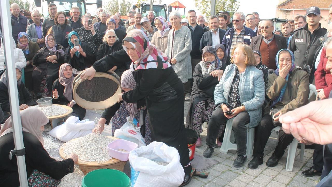 Balıkesir Manyas'ta 1. Kazak Fasulyesi Hasat Festivali Düzenlendi