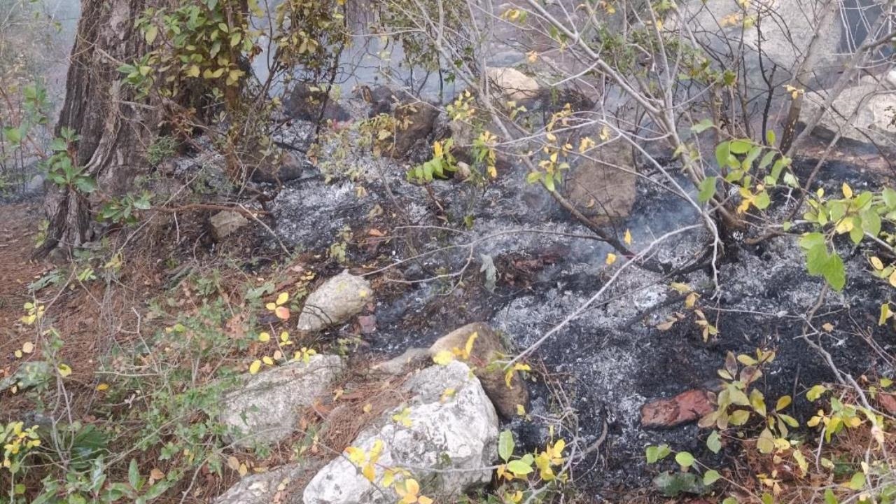 Erdemlı'de Ormanlık Alana Yıldırım Düştü, Çıkan Yangını Köylüler Söndürdü