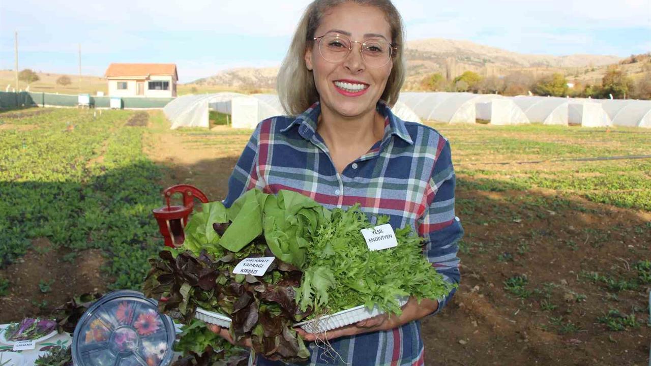 Amasya Yassıçal'da Gıda Mühendisi Nilgün Demir, Yeşil Mirası Canlandırıyor