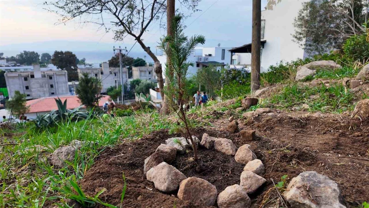 Bodrum'da Çocuklar İçin Fidan Dikimi Etkinliği Düzenlendi