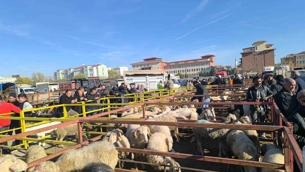 Afyonkarahisar Şuhut'ta Uzun Süreli Kapatmanın Ardından Canlı Hayvan Pazarı Yeniden Faaliyete Geçti