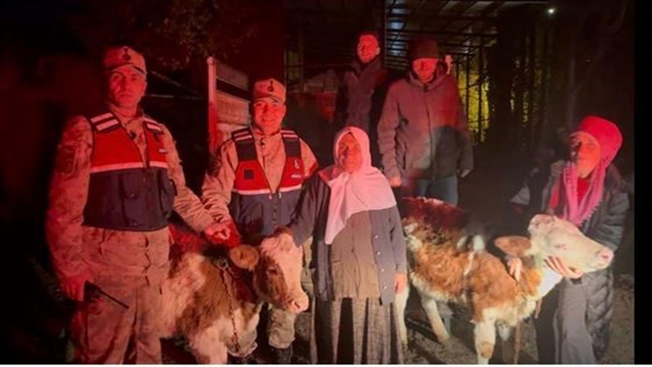 Ardahan Posof'da Çalınan 2 Büyükbaş Hayvan Sahibine Teslim Edildi