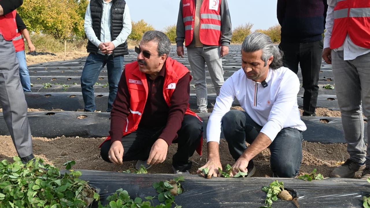 Malatya Yeşilyurt'ta Hibe Destekli Çilek Yetiştiriciliği Projesinin İlk Fide Dikimi Yapıldı