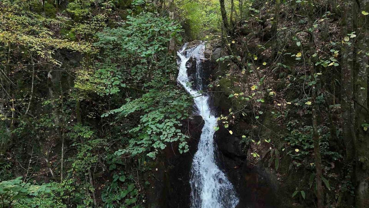 Düzce Aydınpınar'da Doğaseverler İçin Bir Cennet: Aydınpınar Şelalesi