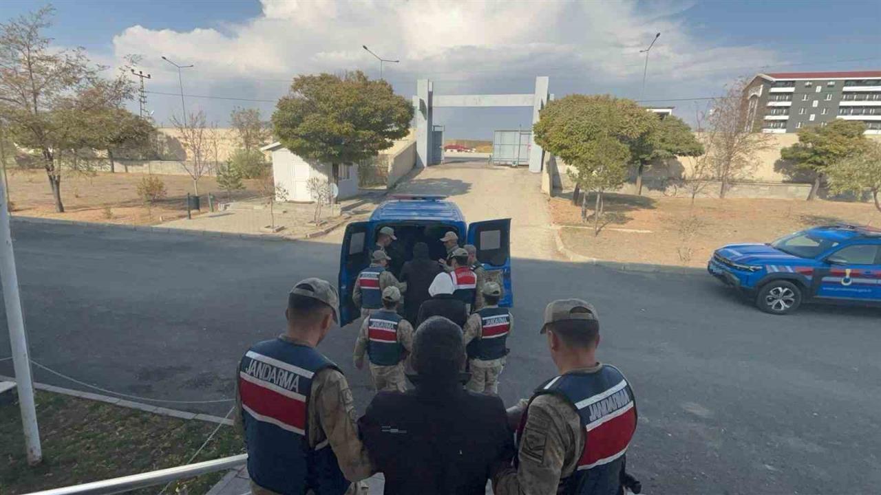 Erzurum Horasan'da Jandarma Tarafından Düzenlenen Operasyonda 4 Şahıs Yakalandı