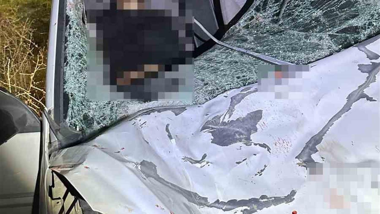 Diyarbakır Silvan'da İki Otomobilin Atla Çarpıştığı Kazada 1 Ölü, 7 Yaralı