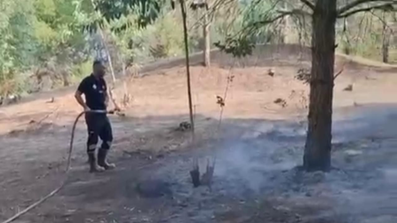 Mersin Tarsus Kulak Mahallesi'nde Ormanlık Alanda Küçük Çaplı Yangın Çıktı