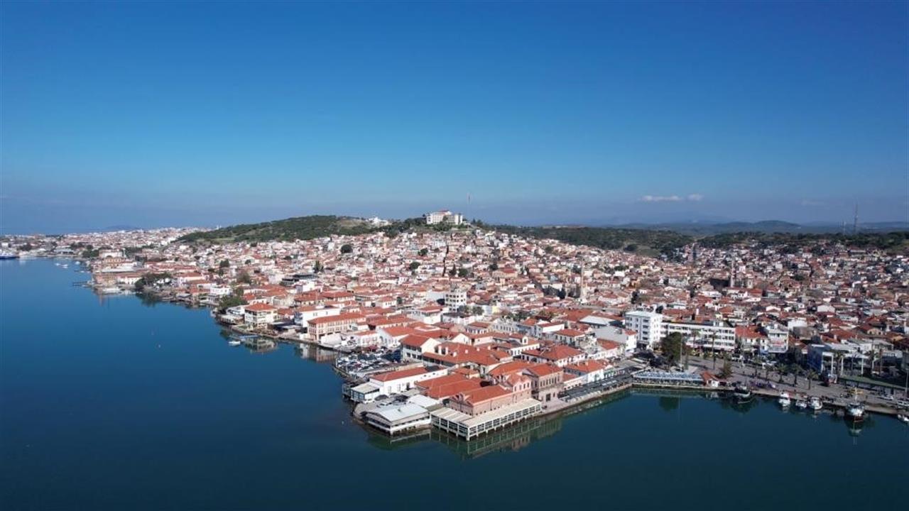 Ayvalık'ta Ara Tatil Döneminde Zeytin Hasadı ve Turizm Yoğunluğu Yaşanıyor