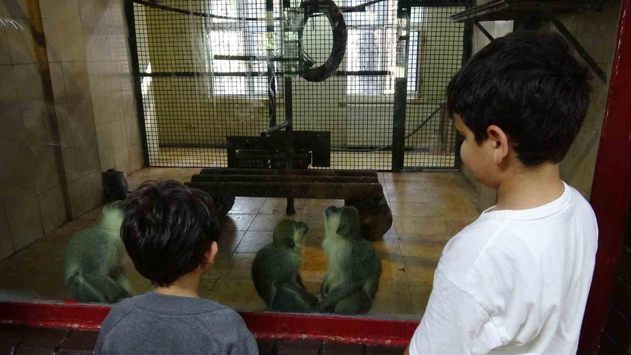 Gaziantep'te Ara Tatilde Öğrencilerin Tercihi Doğal Yaşam Parkı Oldu