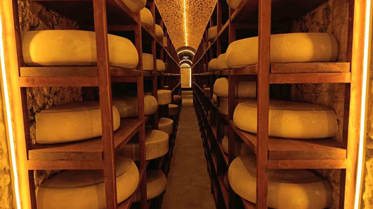 Kars'ta Peynir Müzesi 2025'te 82 Bin Ziyaretçi Ağırladı