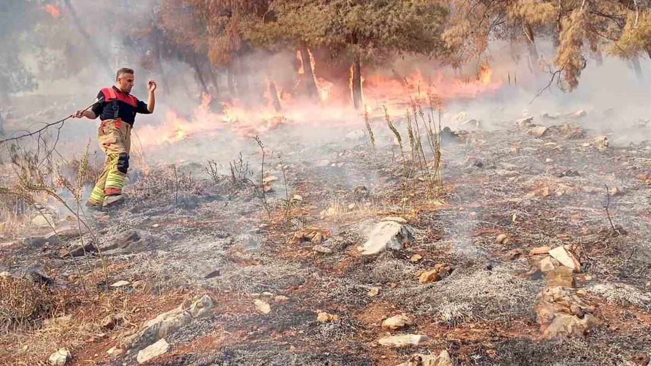 Hatay Antakya'da Orman Yangını Kısa Sürede Söndürüldü