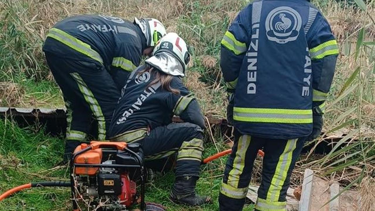 Denizli Merkezefendi'de Fosseptik Çukuruna Düşen Köpek İtfaiye Ekipleri Tarafından Kurtarıldı