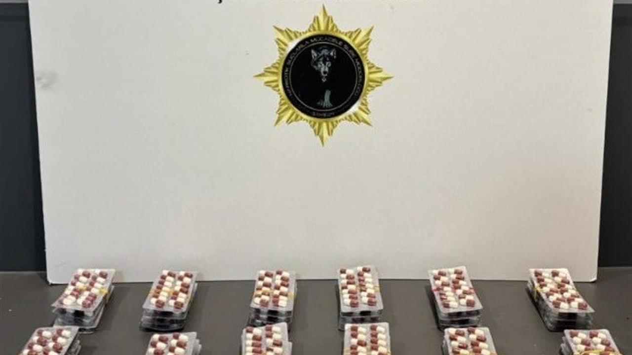 Samsun'da 4 İlçede Yapılan Narkotik Operasyonunda 8 Kişi Yakalandı