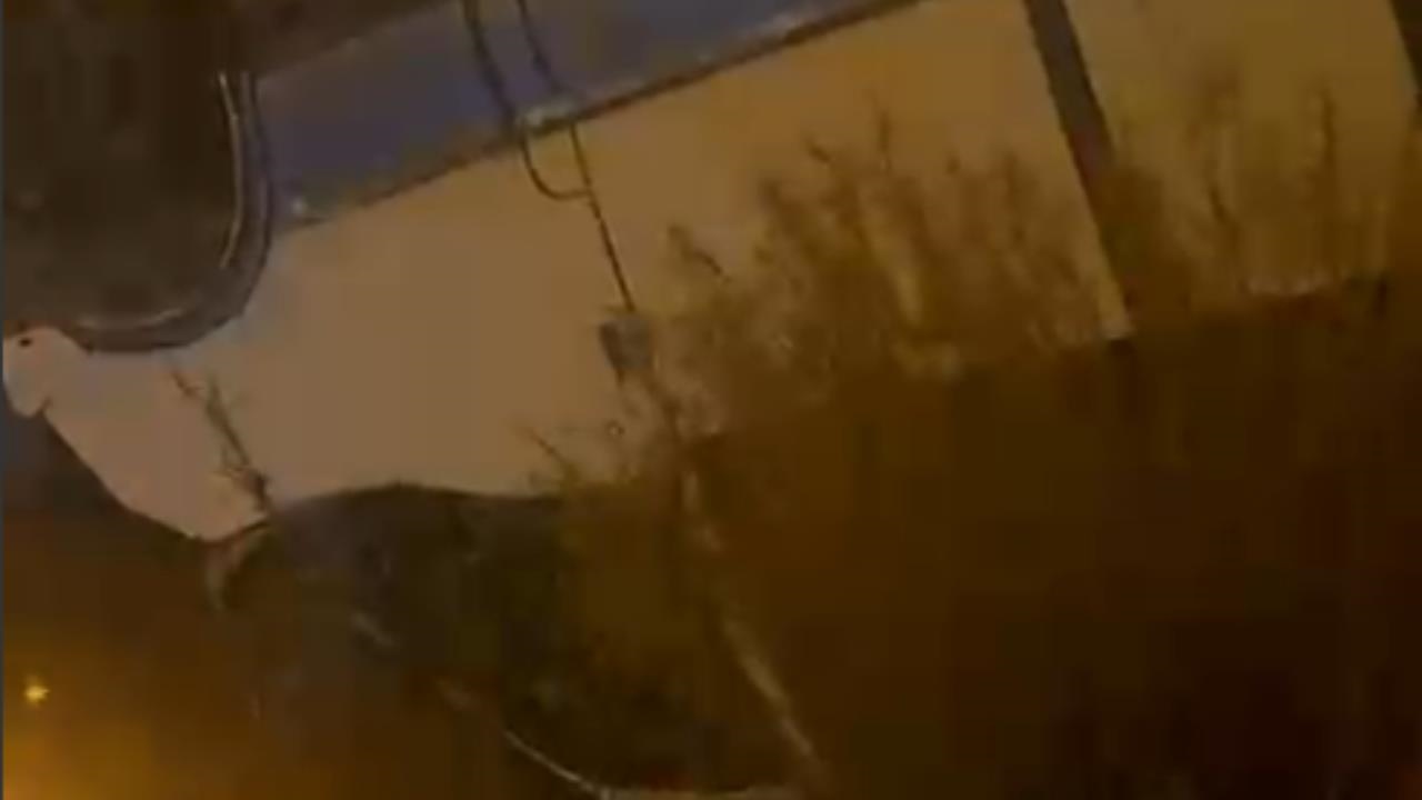 Tarsus'ta Korkunç Kaza: Minibüs Takla Atıp Dereye Uçtu, Çok Sayıda Yaralı!