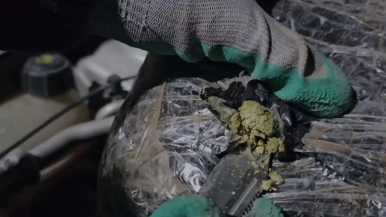 Doğubayazıt'ta Narkotik Ekipleri 3 Kilo Skunk Ele Geçirdi