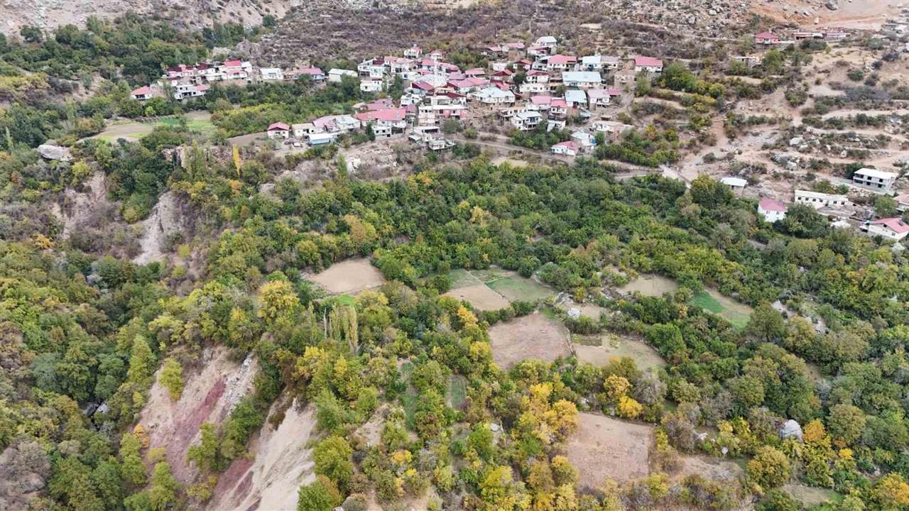 Diyarbakır Çüngüş ilçesindeki Geçit köyünde, Akdeniz ve Karadeniz iklimine özgü meyveler yetişiyor.