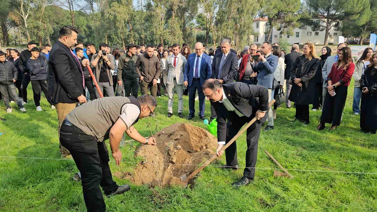 Aydın Sultanhisar'da Öğrenciler Fidanları Toprakla Buluşturdu