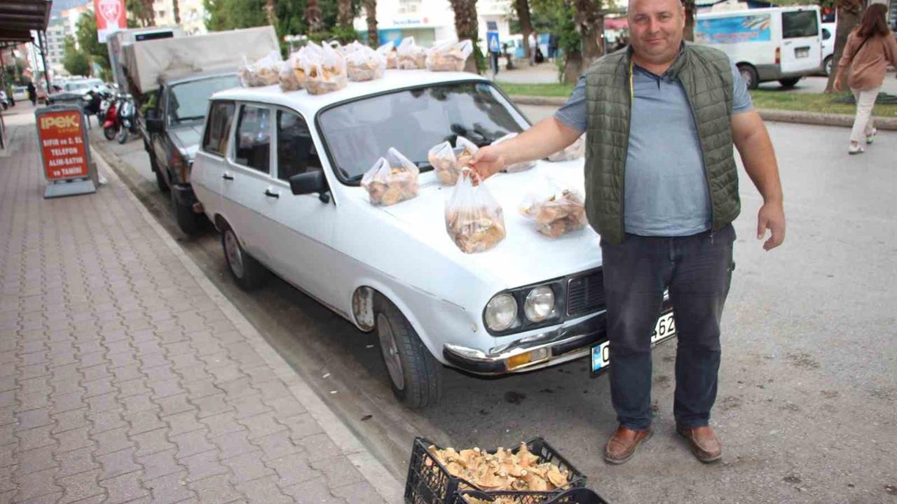 Antalya Kumluca'da Yağmur Sonrası Doğal Olarak Yetişen Mantarlar 350 TL'den Satılıyor