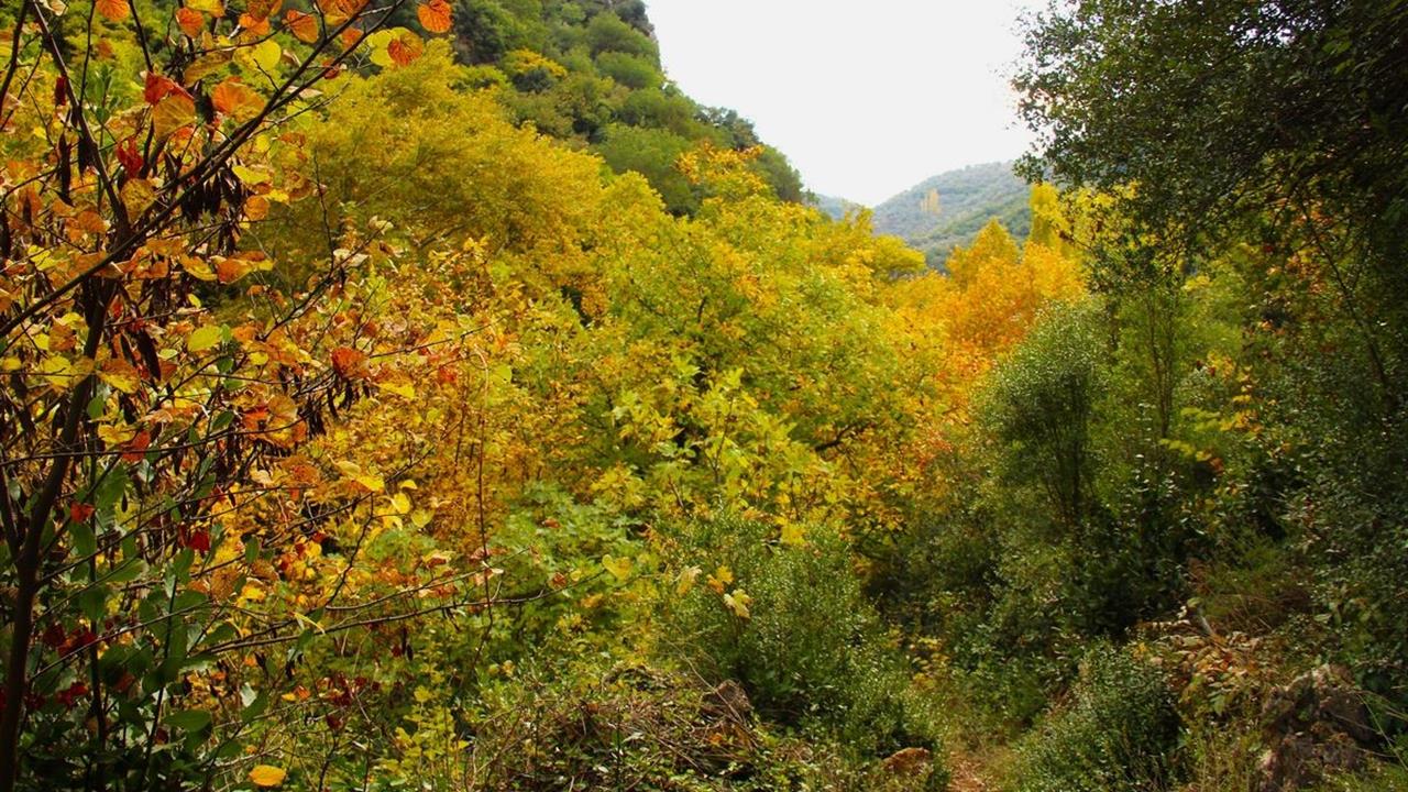 Aydın Koçak Kanyonu'nda Doğanın Korunması İçin Özel Statü İsteniyor