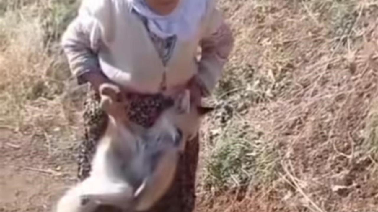 Batman Sason'da Tayyibe Nine'nin Vefatı İlçede Üzüntü Yarattı