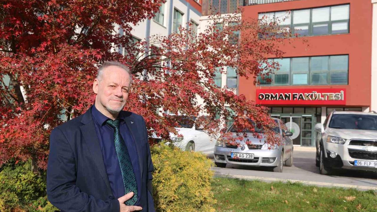 Artvin'de Tespit Edilen Kahverengi Kokarca, 2025'te Marmara'da Yayılacak