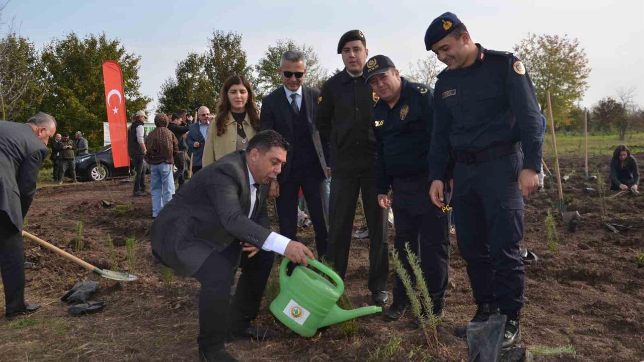 Bafra'da 11 Kasım Etkinliğinde 8 Bin Fidan Toprakla Buluştu