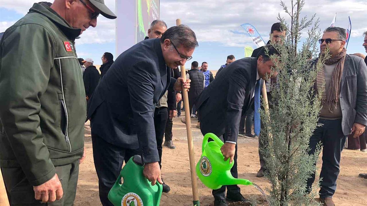 Eskişehir Odunpazarı'nda 11 Kasım Milli Ağaçlandırma Günü'nde 20 bin fidan dikildi.