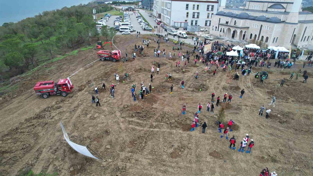 Yalova'da 11 Kasım Milli Ağaçlandırma Günü Fidan Dikimi Etkinliği Düzenlendi
