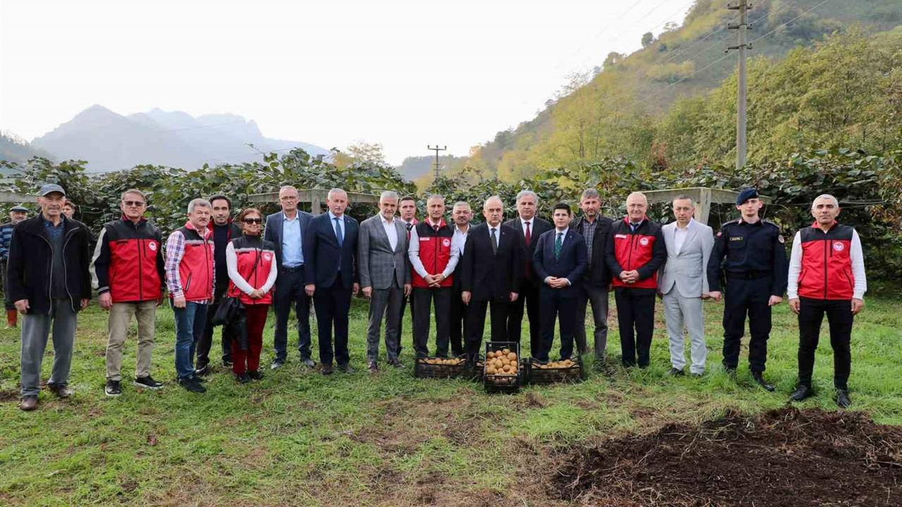 Ordu'da Kivi Hasadı ile İlin Ekonomisine 520 Milyon TL Katkı Sağlanacak