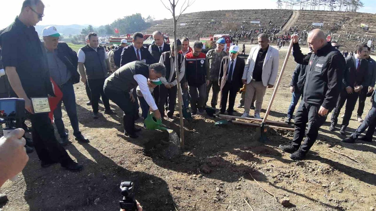 Bolu Mudurnu'da 11 Kasım'da Yanan Ormanlık Alan İçin Fidan Dikimi Yapıldı