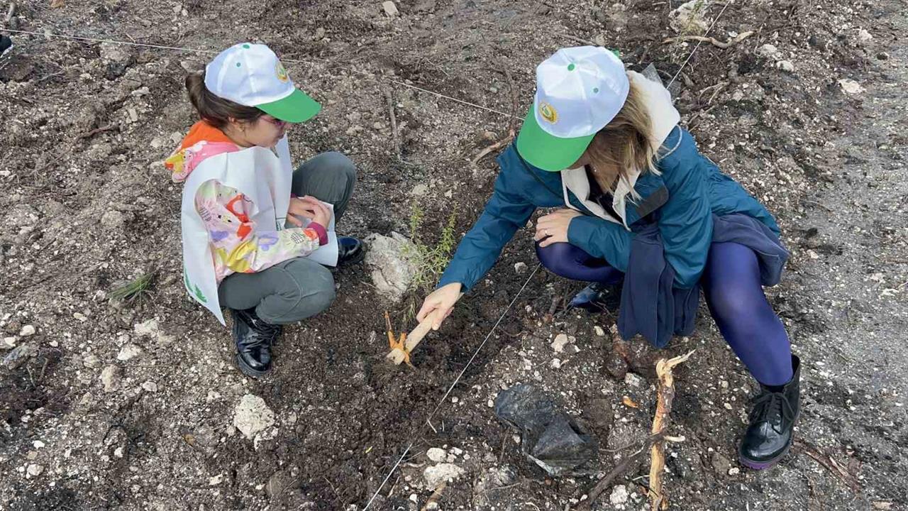 Çanakkale'de 11 Kasım Milli Ağaçlandırma Günü'nde 20 Bin Fidan Dikildi