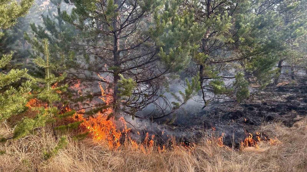 Kars Sarıkamış'ta Çıkan Yangına Ekipler Müdahale Ediyor