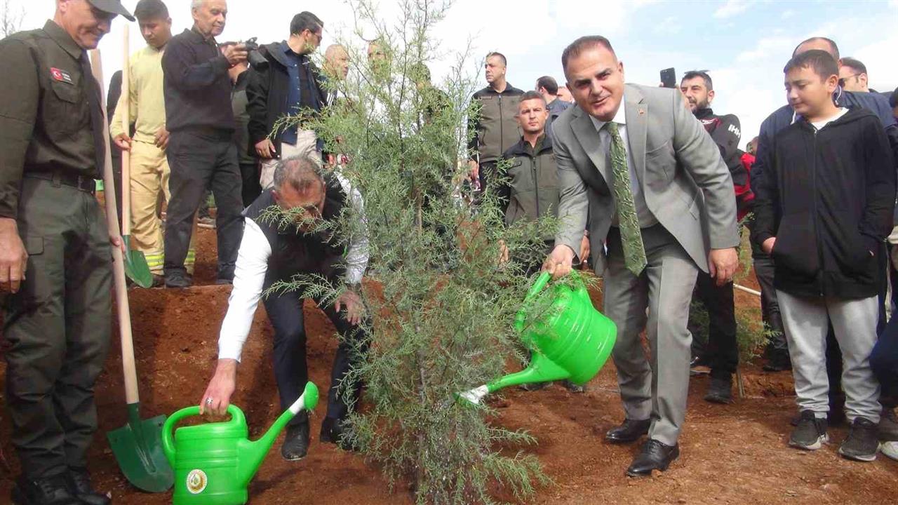 Muğla'da 33 Bin Fidanın Toprakla Buluştuğu Etkinlik Gerçekleşti