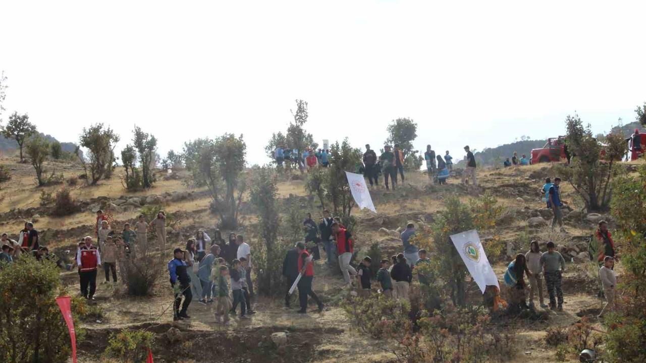 Şırnak Merkez'de "Adliye Hatıra Ormanı" Etkinliği Gerçekleştirildi