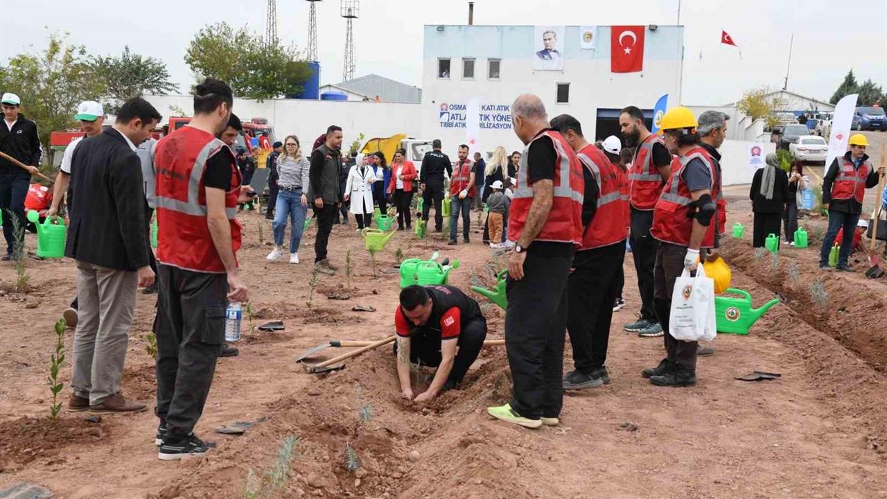Osmaniye'de 11 Kasım Milli Ağaçlandırma Günü'nde Fidanlar Toprakla Buluştu