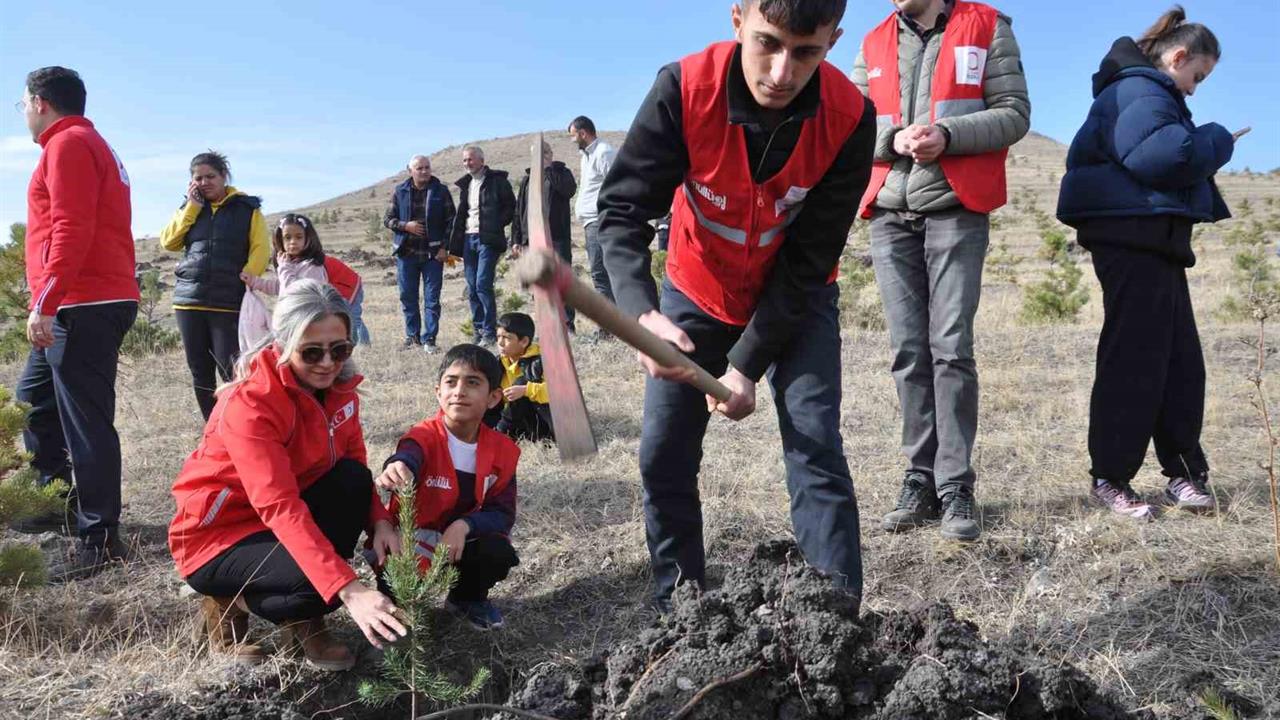 Kars'ta 5 Bin 500 Fidan Toprakla Buluştu ve Can Su Verildi