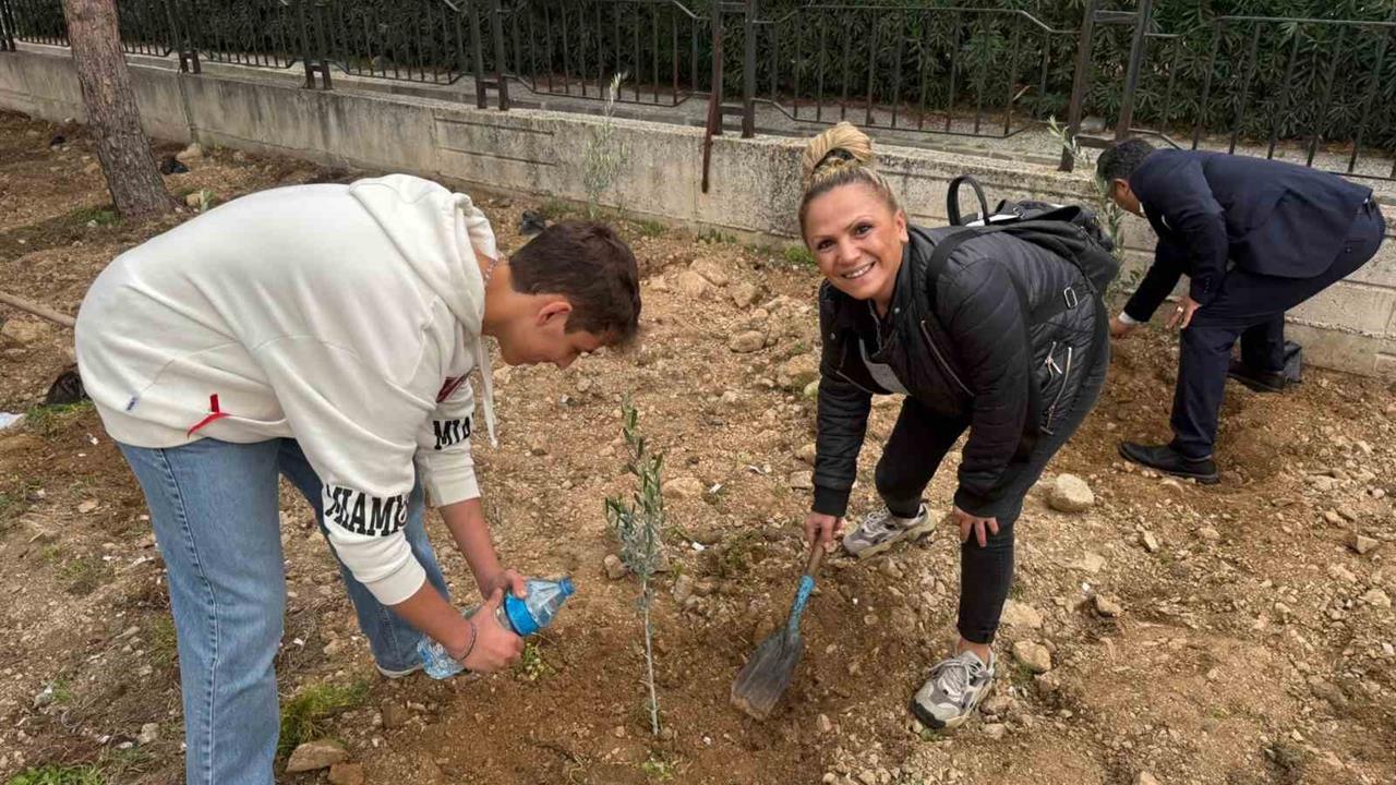 Manisa Yunusemre'de 60 Zeytin Fidanı Okul Bahçesine Dikildi