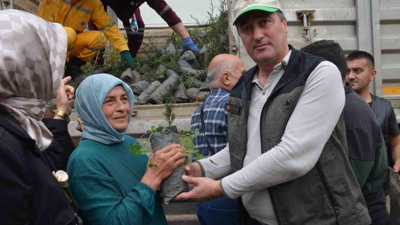 Samsun Bafra'da 11 Kasım'da Fidan Dağıtımı Etkinliği Gerçekleşti