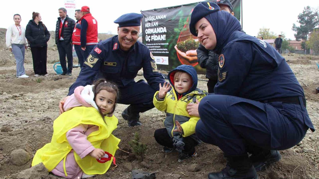 Amasya Suluova'da 4 Binden Fazla Fidan Toprakla Buluştu