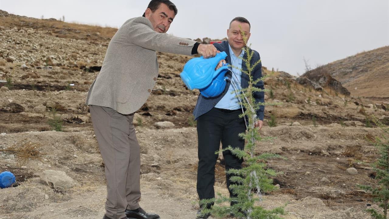 Kayseri Bünyan'da 11 Kasım Milli Ağaçlandırma Günü'nde Fidanlar Toprakla Buluştu