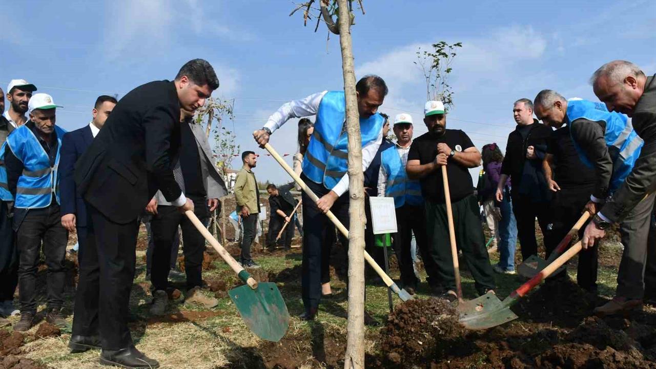 Şanlıurfa Siverek'te Fidan Dikimi Etkinliği Gerçekleştirildi