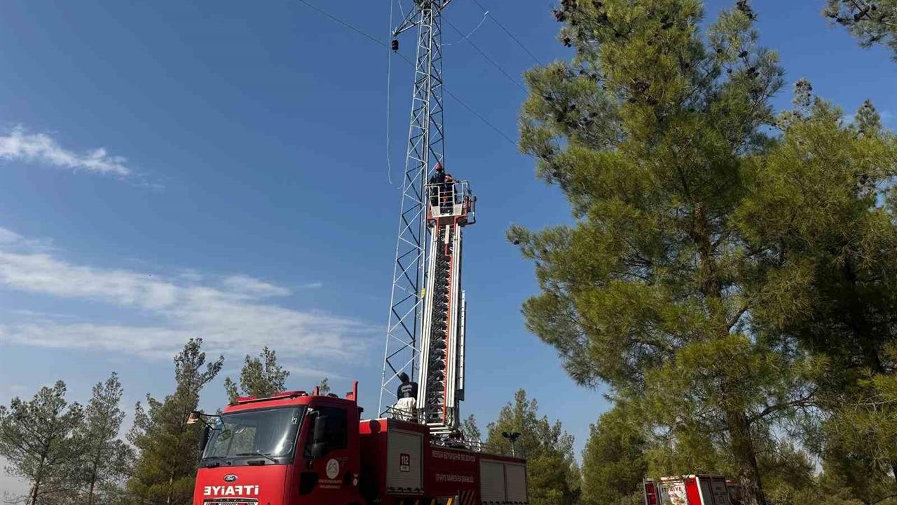 Mersin Mut'ta Yüksek Gerilim Direğinde Mahsur Kalan İşçi Kurtarıldı