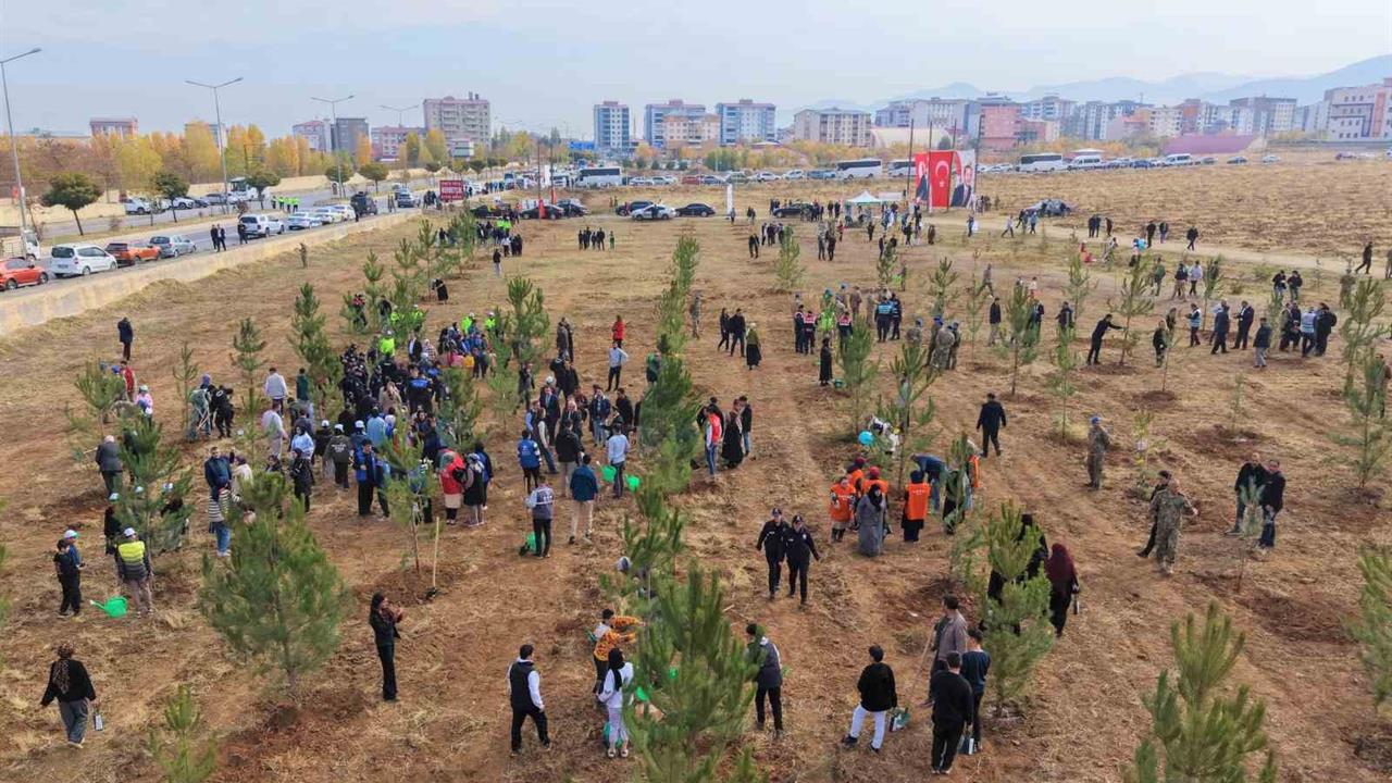 Muş'ta 20 Bin Fidanın Toprakla Buluşturulması Etkinliği Gerçekleştirildi