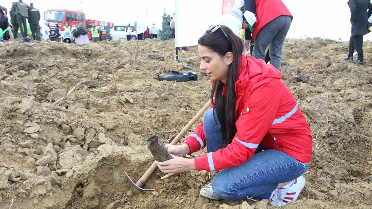 Uşak'ta Milli Ağaçlandırma Günü'nde Fidanlar Toprakla Buluştu