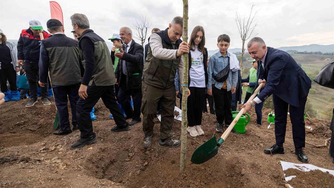 Kocaeli Karamürsel'de Yangın Alanına 3 Bin Fidan Dikildi