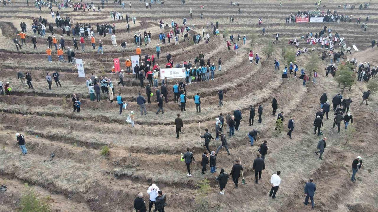 Çorum Merkez'de 11 Kasım Milli Ağaçlandırma Günü Etkinliği Gerçekleştirildi