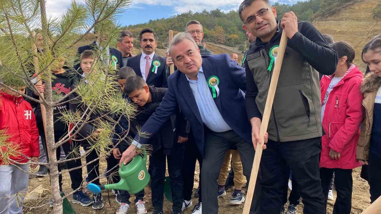 Bilecik Bozüyük'te 11 Kasım Milli Ağaçlandırma Günü'nde Fidan Dikimi Yapıldı