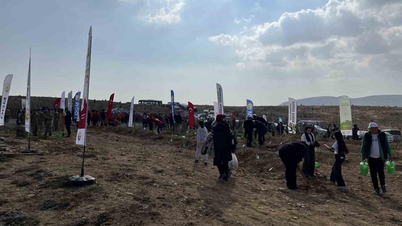 Konya'da 11 Kasım Milli Ağaçlandırma Günü'nde 33 bin 811 fidan toprakla buluştu
