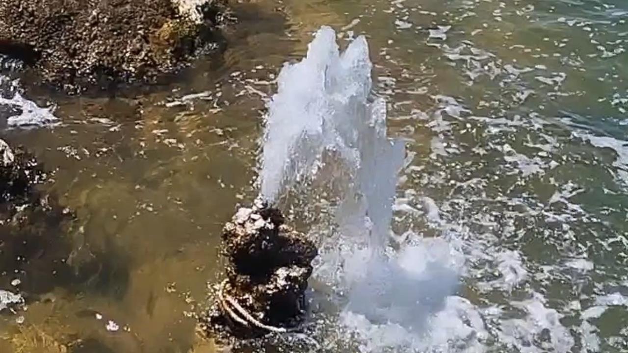 Van Gevaş'ta Mikrobiyalitten Fışkıran Tatlı Su Görenleri Şaşırttı